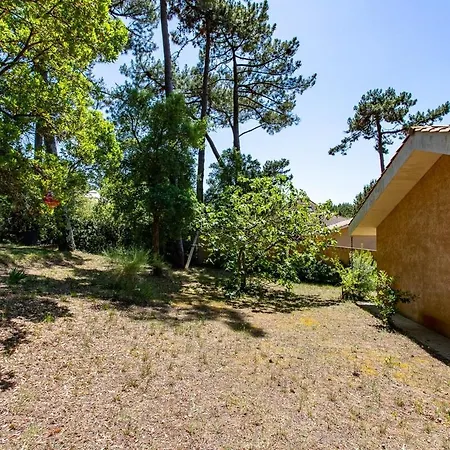 équipée Dans Les Vallons Du Ferret à 5 Min De La * Lège-Cap-Ferret